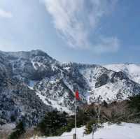 제주도 설산의 매력, 한라산은 겨울이 가장 예쁘다