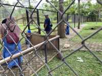 【インドネシア】チカランで子ども連れで遊びに行ける公園