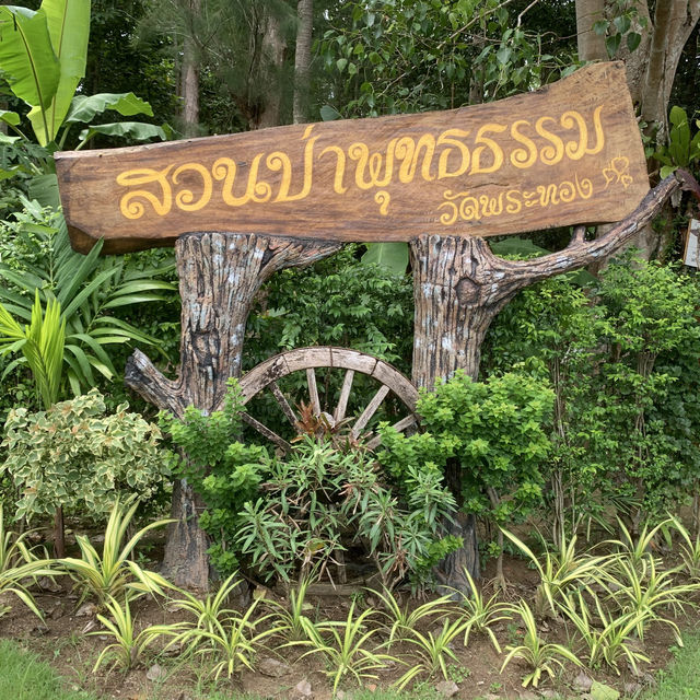 สวนป่าพุทธธรรม วัดพระทอง
