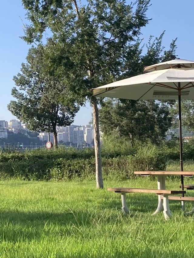 한강공원에서 피크닉하기⛱🧃