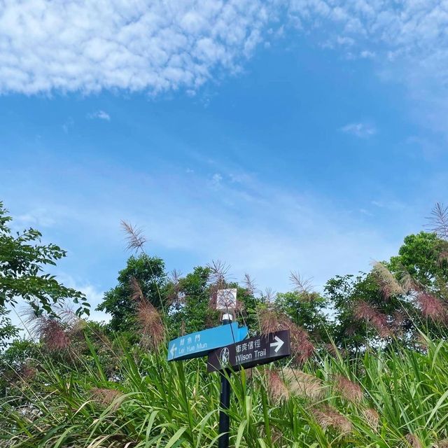 市區輕鬆古蹟行山路線-魔鬼山⛰️