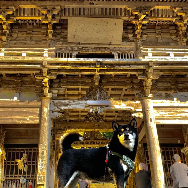 紅葉が素晴らしく　即身成仏のミイラがある珍しいお寺