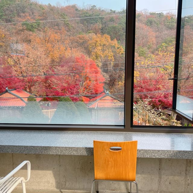韓国/ソウル【牛耳洞】紅葉が見れる🍁大型ベーカリーカフェ💛