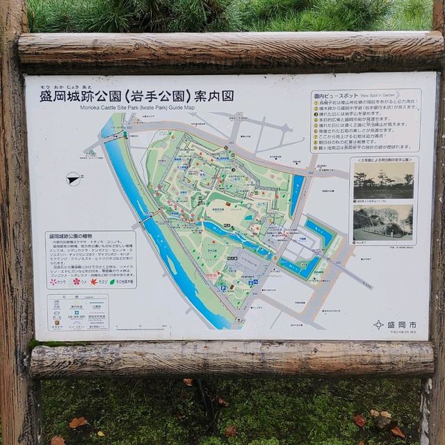 岩手県！盛岡城跡公園で紅葉狩り