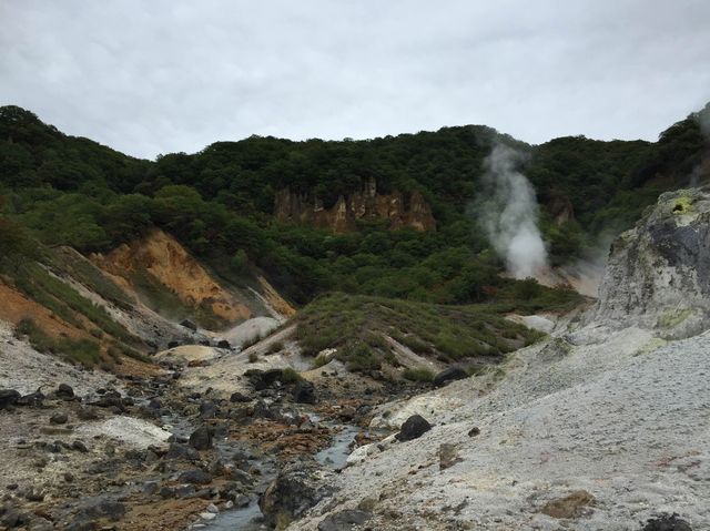 Jigokudani (地獄谷)