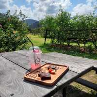  klang pana roses garden & cafe khaoyai