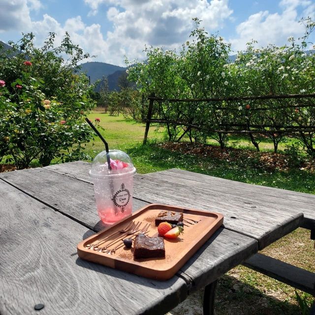  klang pana roses garden & cafe khaoyai