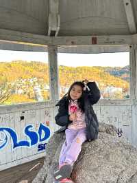 捷克景點-鹿、紅涼亭、白涼亭觀景台