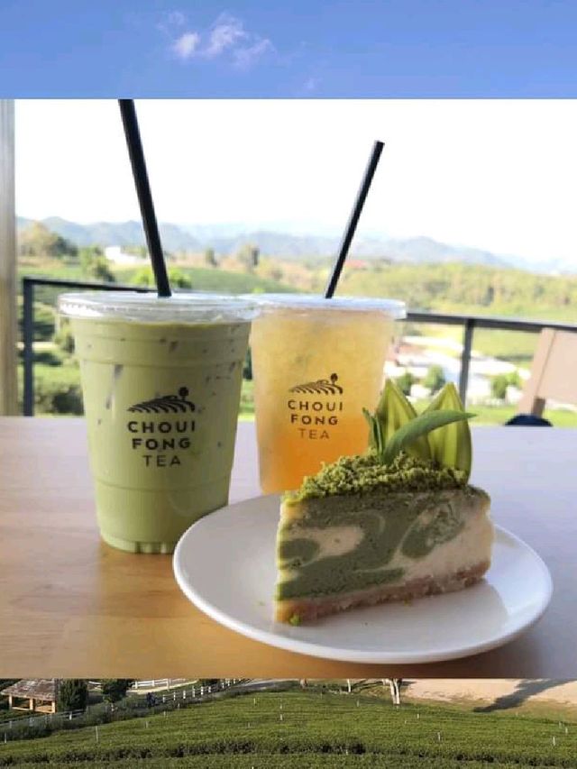 ไปแอ่วเจียงฮายกันจ้าวว 🌱🍵