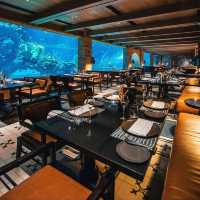 Koral : Bali’s First Aquarium Restaurant