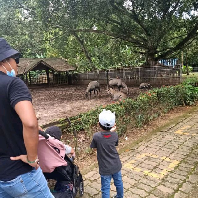 Malacca Zoo