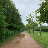 Lorong Halus wetland park 