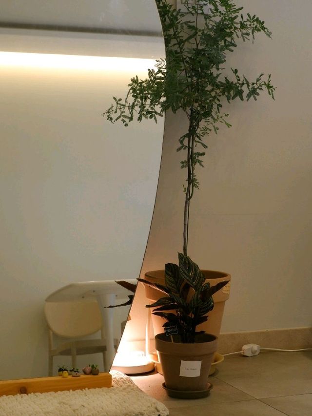 시흥 능곡동 카페, 카페도나코