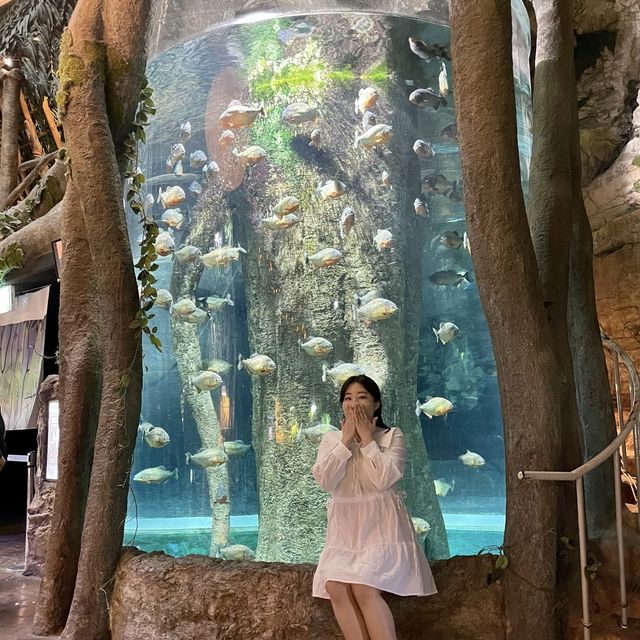 바다친구들과 데이트할 수 있는 아쿠아플라넷