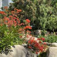 親子好去處｜香港動植物公園賞花攝影遊🌺