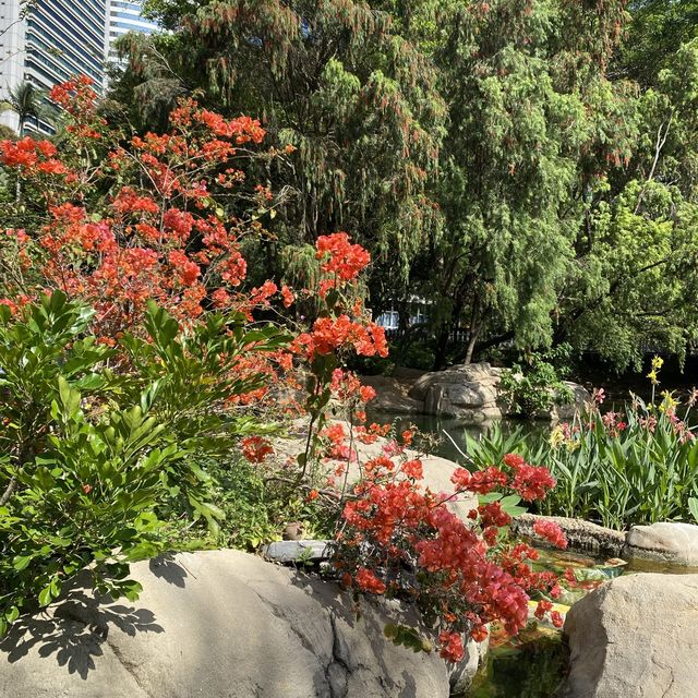 親子好去處｜香港動植物公園賞花攝影遊🌺