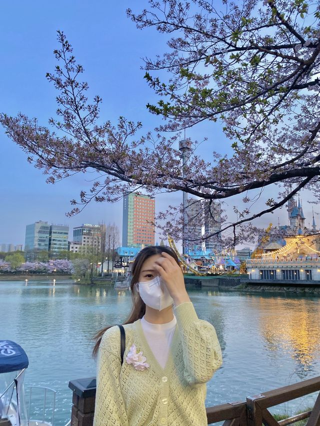 벚꽃 막차 탑승하세요!! 🌸석촌호수🌸