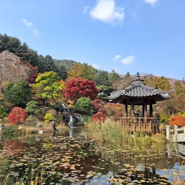 드라마 촬영지, 산책하기 좋은 곳 [아침고요수목원]