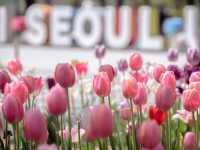 봄꽃 가득한 서울숲