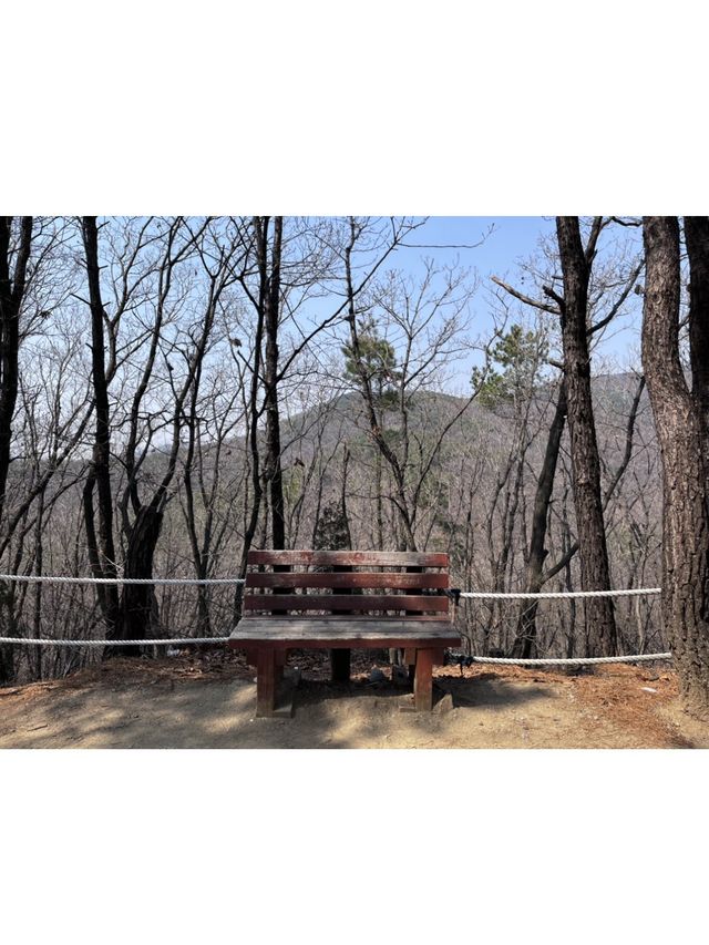 요즘 야외활동에 딱 어울리는 곳, ⛰광교산⛰ 