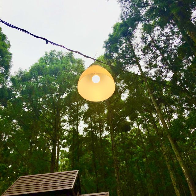 新竹關西｜馬武督探索森林 夏日避暑好去處
