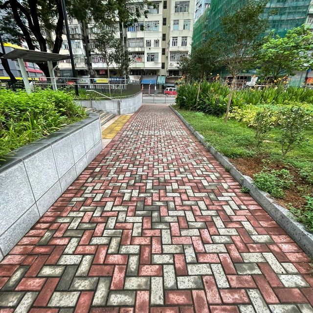 土瓜灣的花花世界