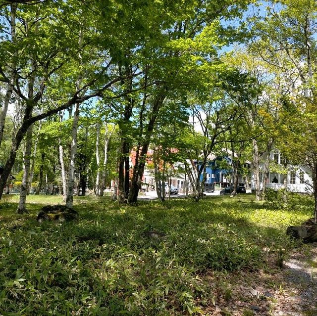 長野県　白樺湖　周り
