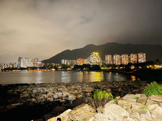 夜遊海豚廣場