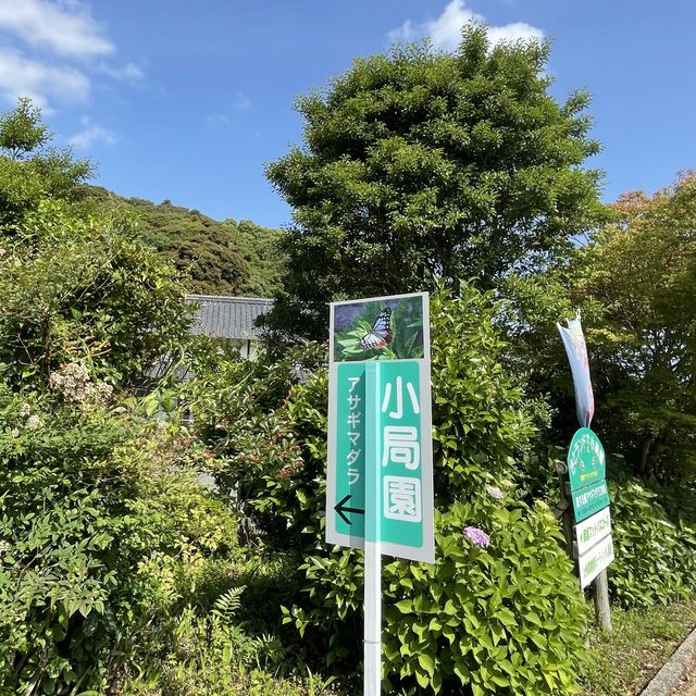 旅する蝶々🦋💫.•*¨*•.🦋💫 