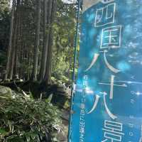【まるでジブリの世界！こけむしろ】