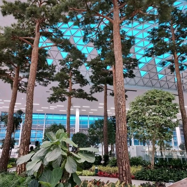 Vibrant again, Incheon International Airport