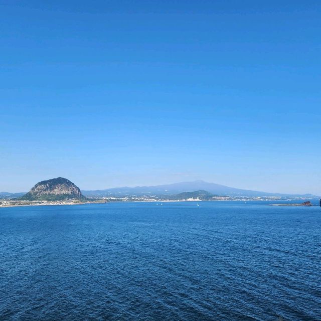 제주도 둘레길 필수코스는 역시 송악산이 압도적!!