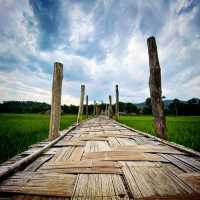 The Beautiful Open Field Of Mae Hong Son