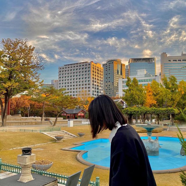덕수궁에서 보는 가을 🍁