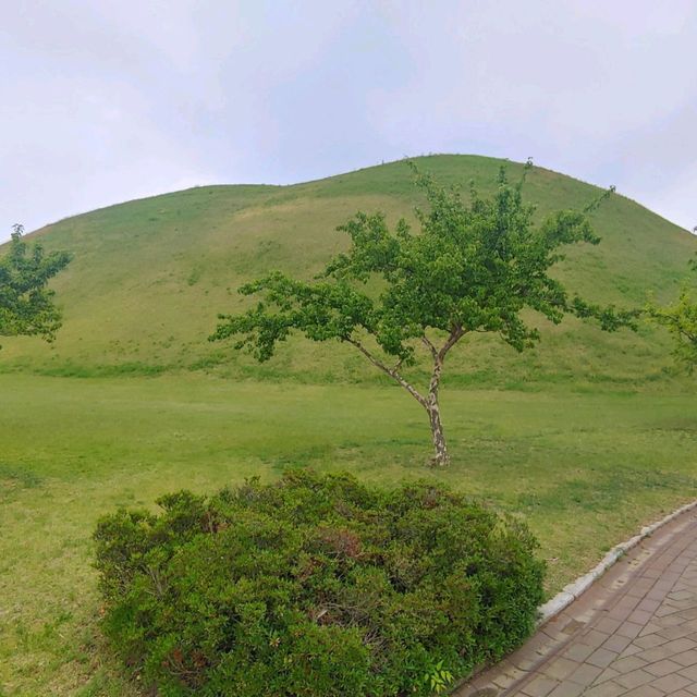어렸을때 수학여행으로 가봤던 경주를 성인이되어 다시 가보자