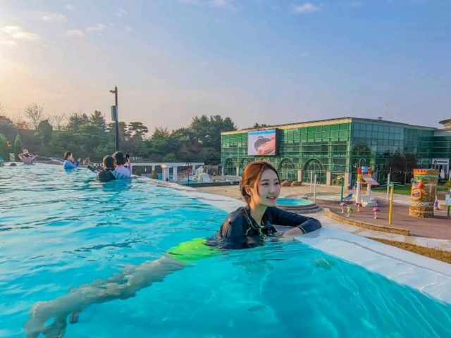 따뜻한 물있는 야외 수영장 🏊‍♂️ 