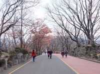 คล้องรักที่ Seoul Tower