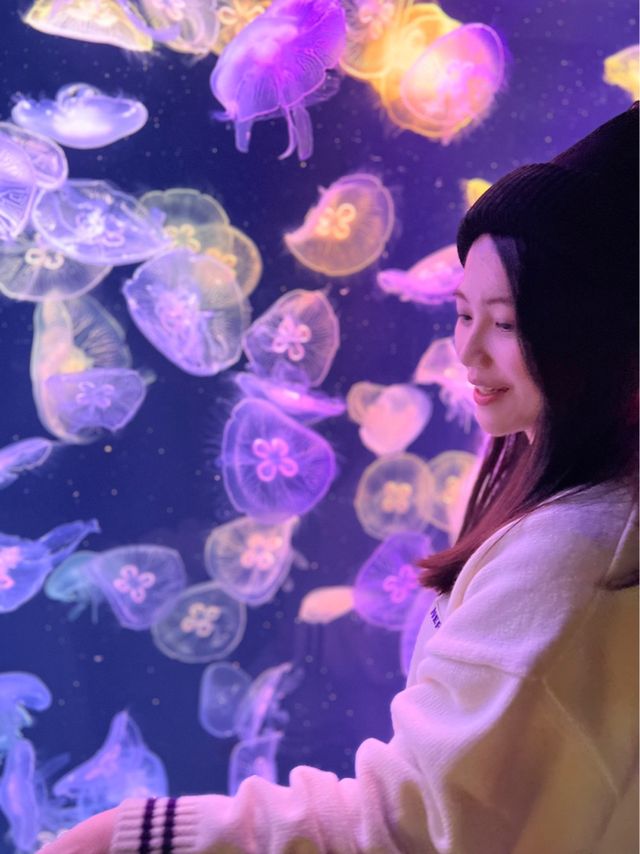 香港打卡+親子餐廳🍀水母主題西餐廳