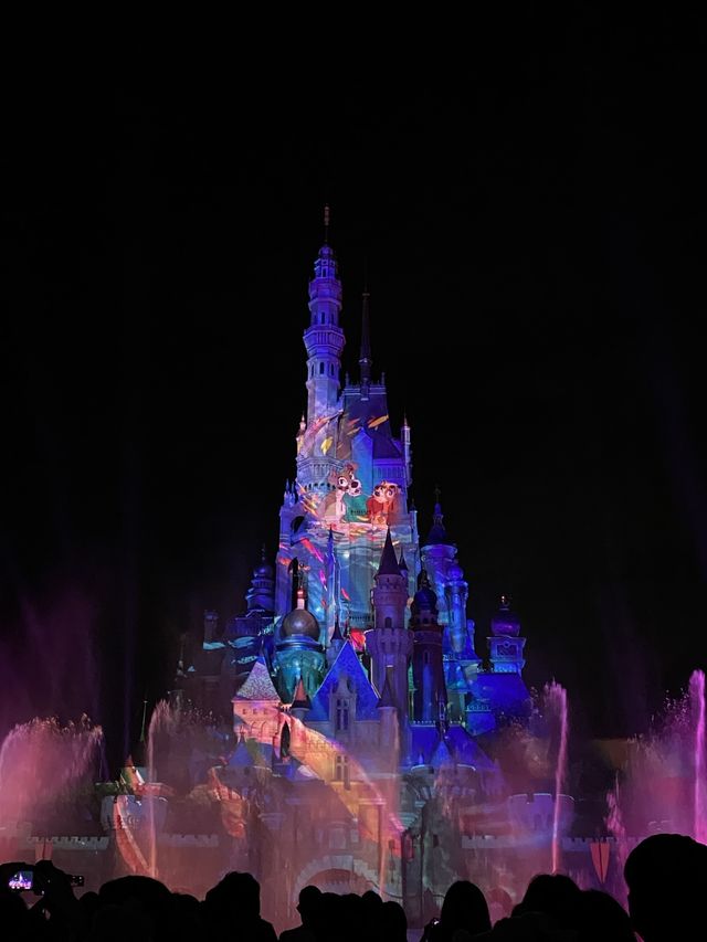 幸福感滿滿的迪士尼樂園❣️百去不厭🏰🎠