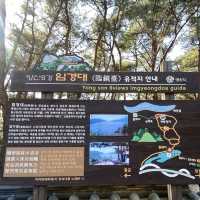 양산 드라이브코스 임경대에서 경치보며 힐링하기