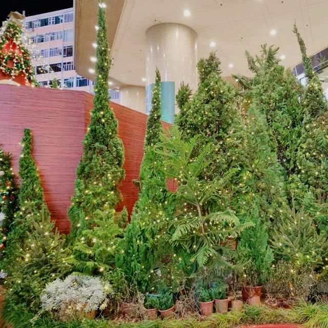 聖誕打卡好處-時代廣場