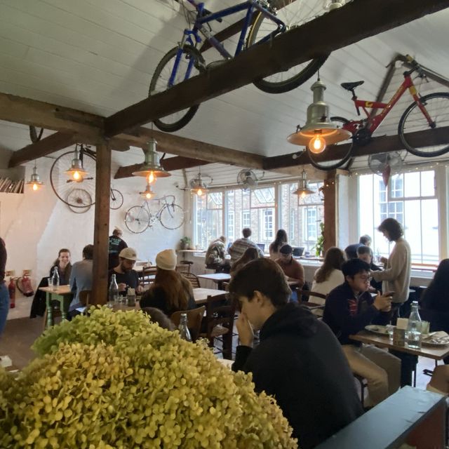 The Handle Bar