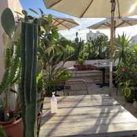 BoboLEE Roof Garden 屋顶花园西餐厅