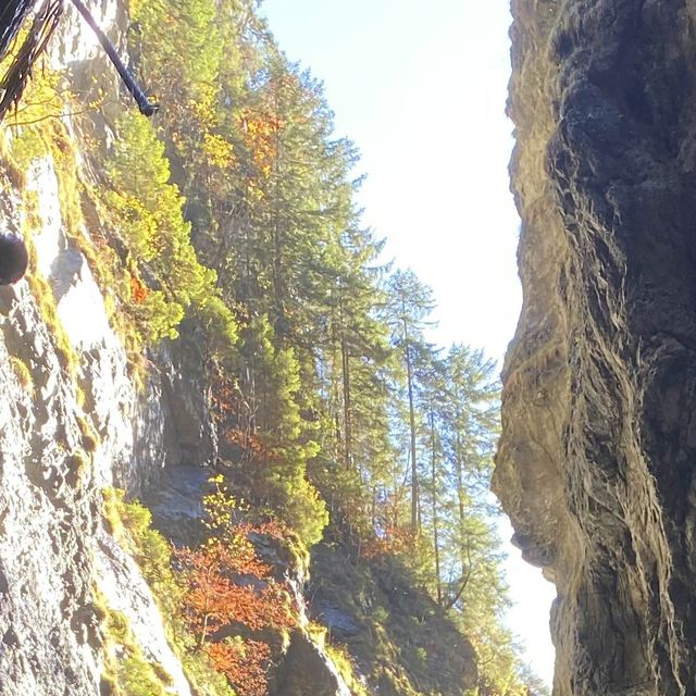 Autumn season, Nature’s Art Palette 
