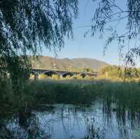 Yongdinghe Park - beautiful riverside walk 🏞