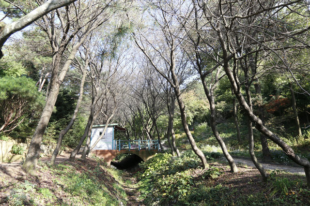 용인 한택식물원 힐링이 되는곳