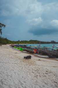 Island | Thailand | Koh Samui