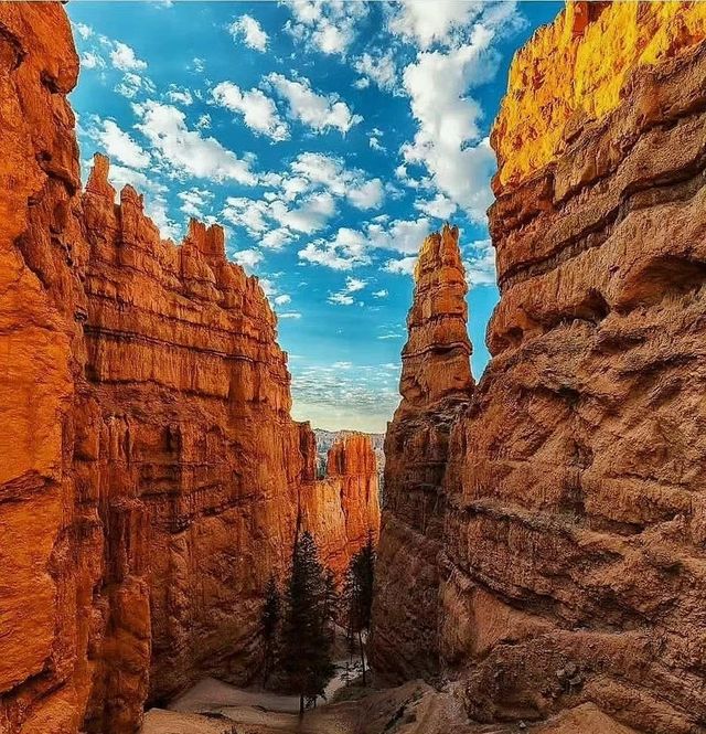 Bryce Canyon National Park from your perspective and senses.