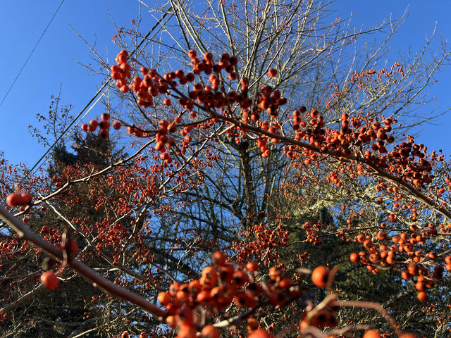 Colorful winter - Seattle