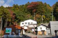 Japan free travel, hike up Mount Ibuki, autumn leaves and miscanthus are equally beautiful.